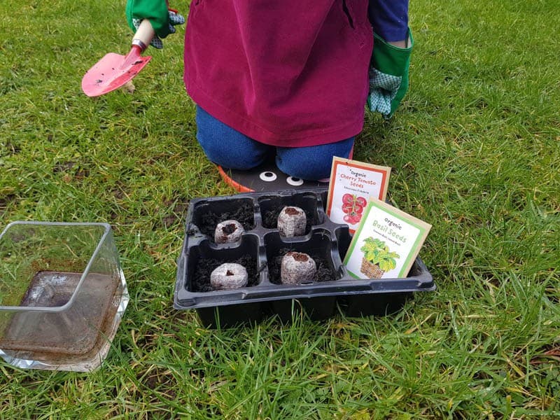 Person planting seeds in a black potting tray