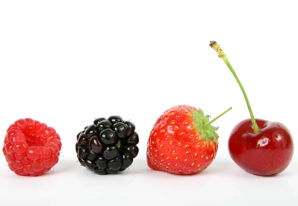 raspberry, blackberry, strawberry and cherry all lined up