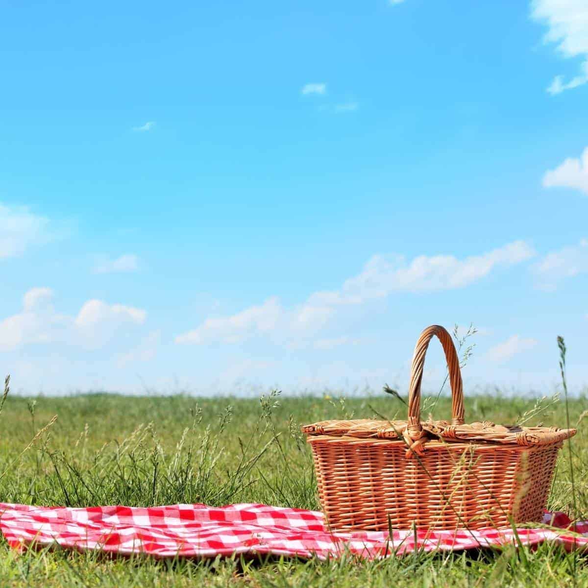 11 Tips for a healthy picnic for all the family