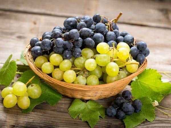 mixture of grapes on a wooden table