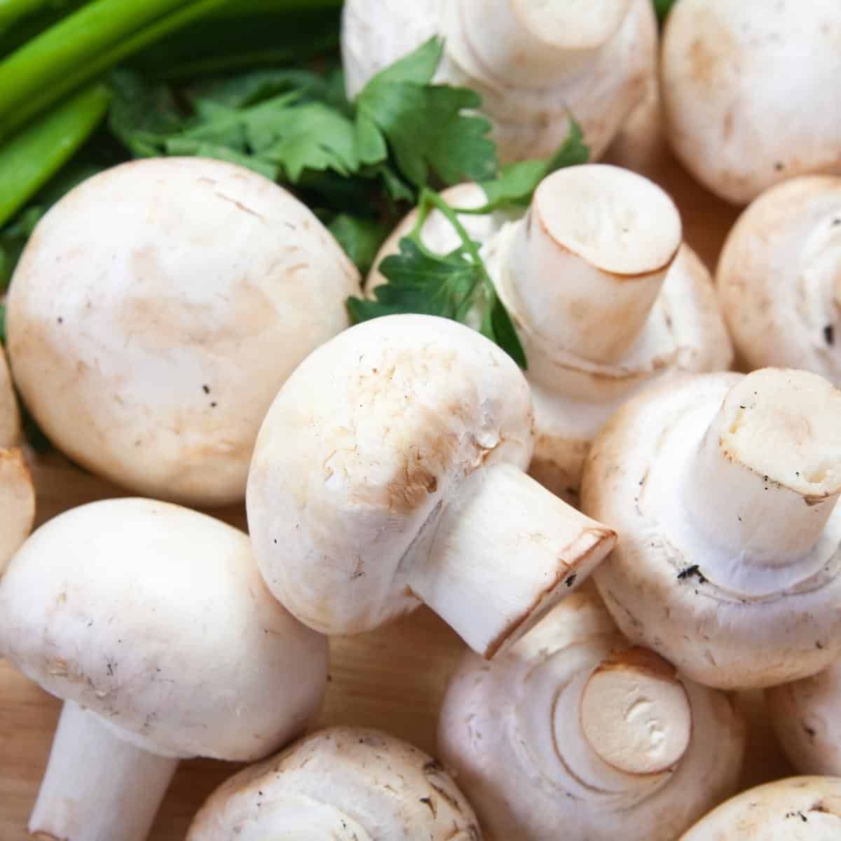21 healthy mushroom recipes and how to use up mushrooms