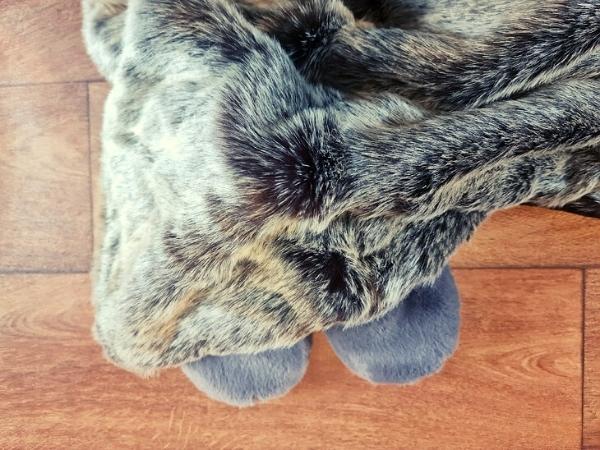 blanket