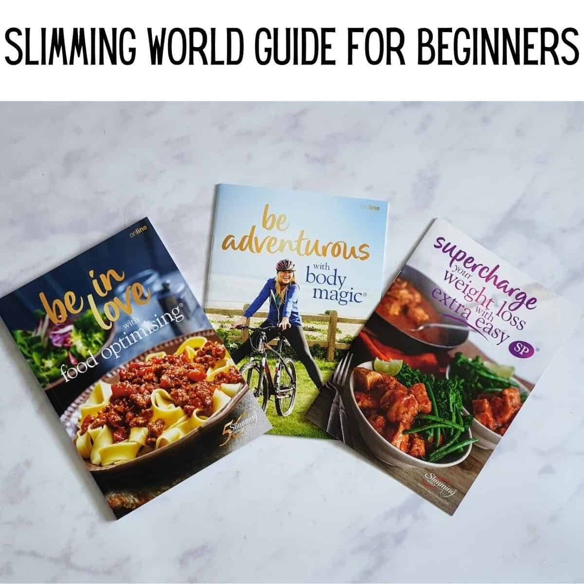 Slimming World guide for beginners button