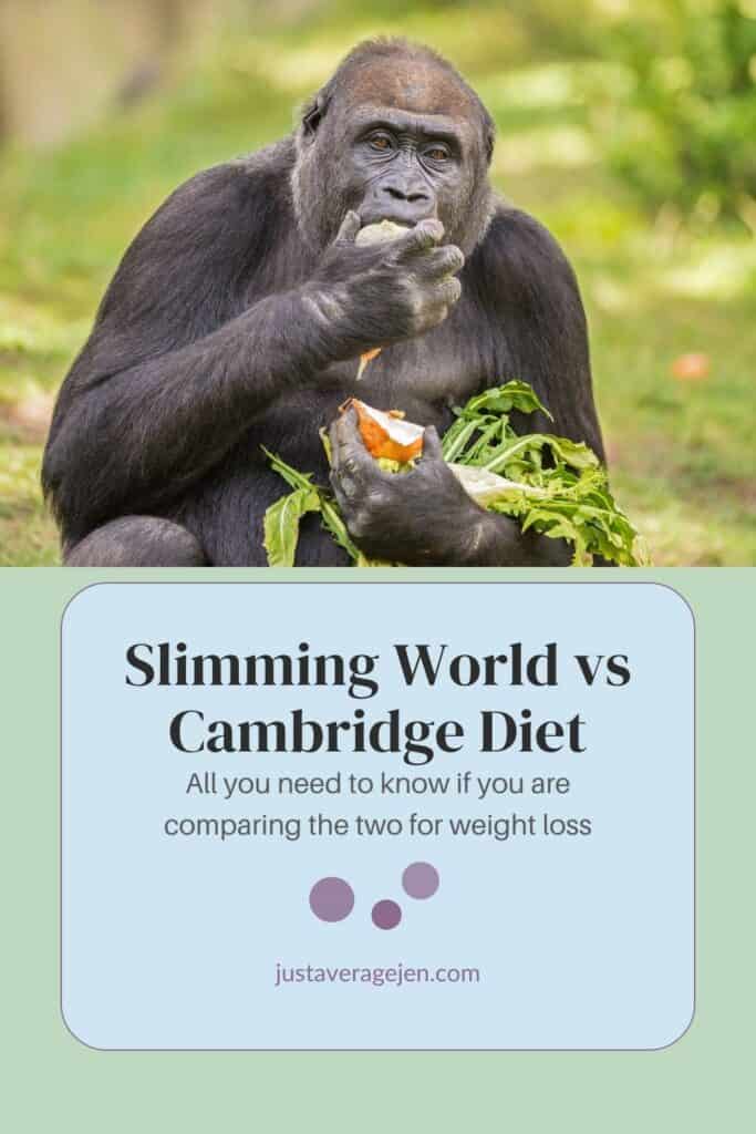 A gorilla eats leafy greens and fruit, sitting on grass. Below, text reads: "slimming world vs cambridge diet: all you need to know if you are comparing these two popular plans for weight loss.