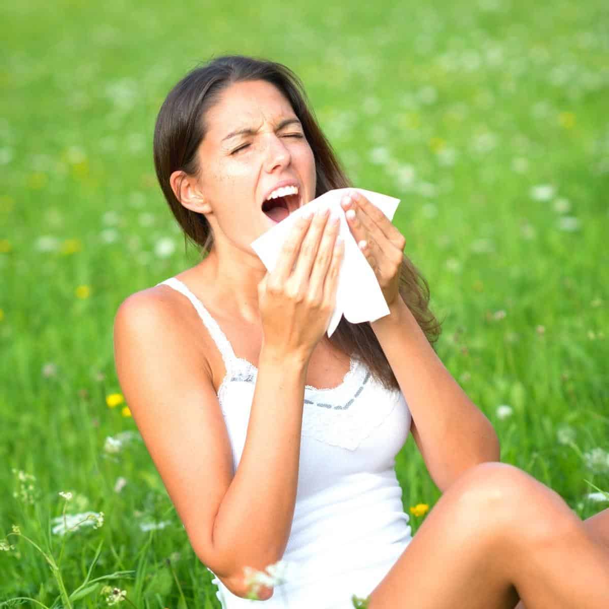 Managing hay fever this summer