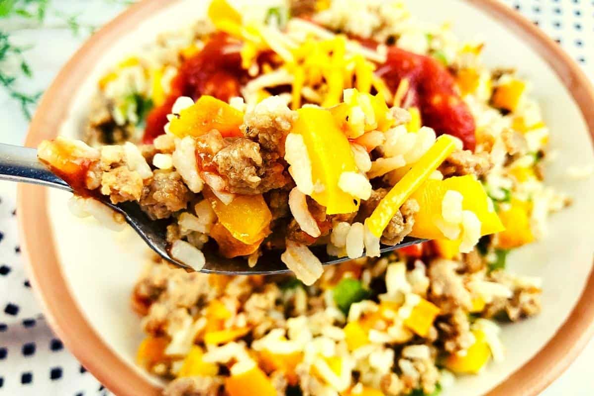 Close up of beef and rice bowl on a fork