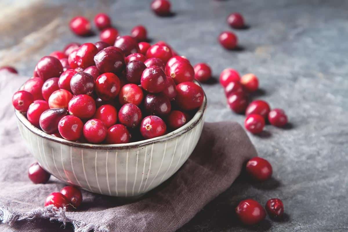 Cranberries in a ceramic bowl and over a grey table.