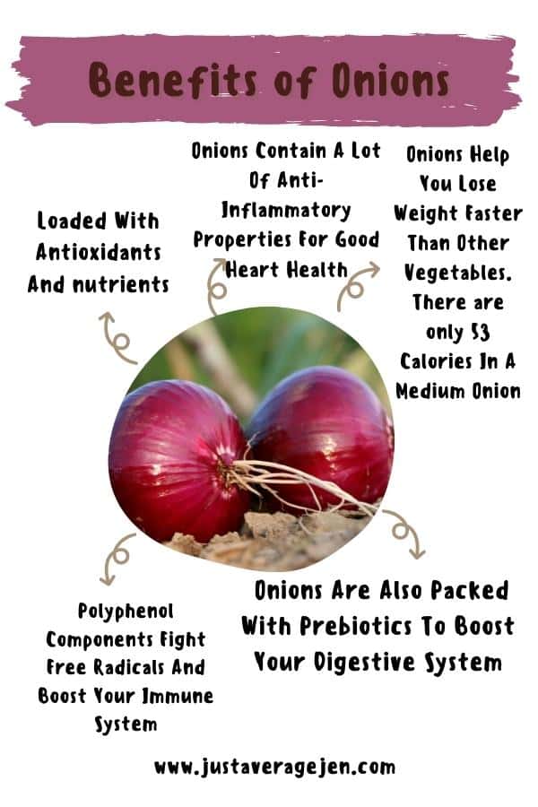 onion infographic