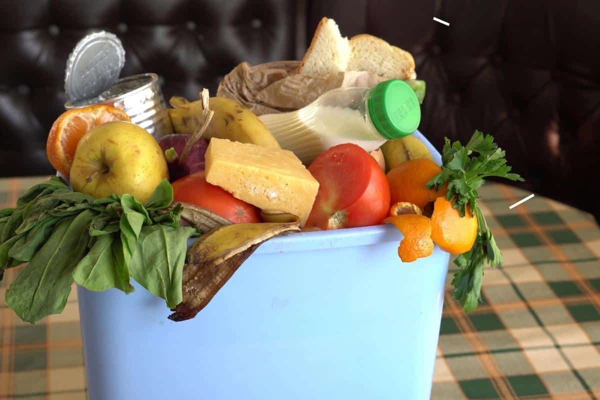 food waste in a bin