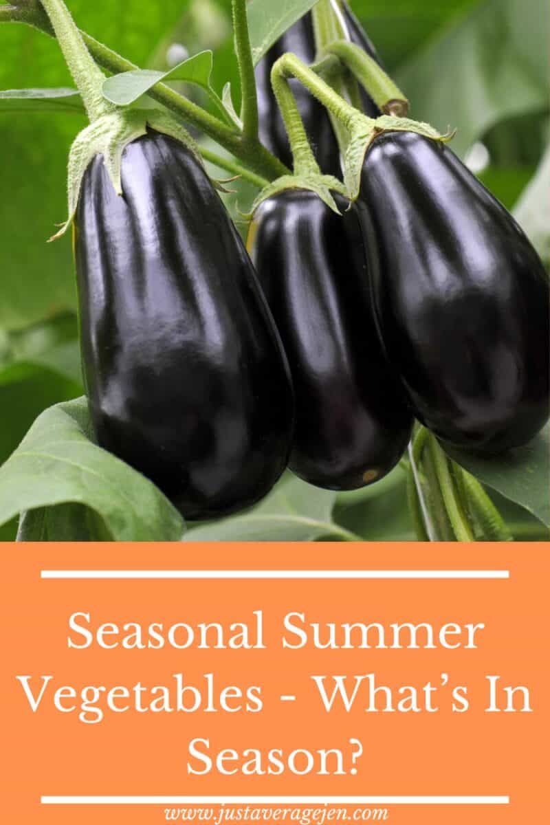 Three glossy eggplants hanging from a plant with green leaves, complemented by the text "Seasonal Summer Vegetables - What's In Season?" celebrate the vibrant diversity of summer vegetables.
