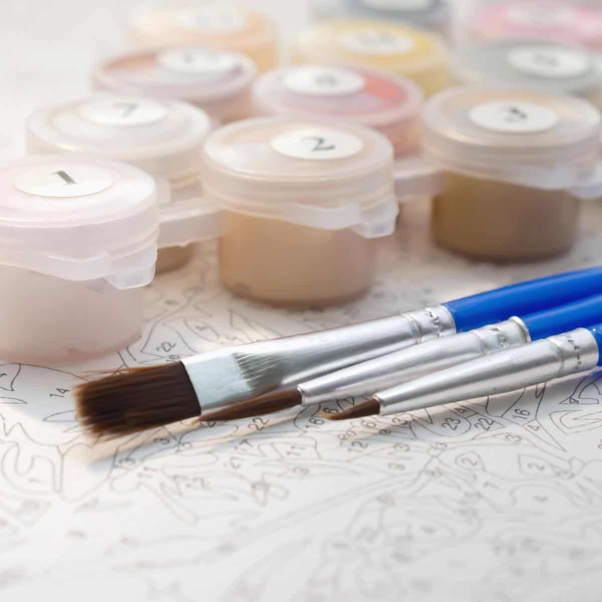 painting by numbers set