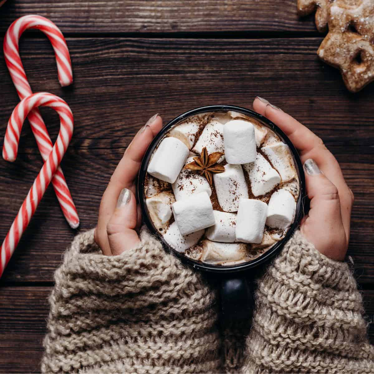 festive hot chocolate