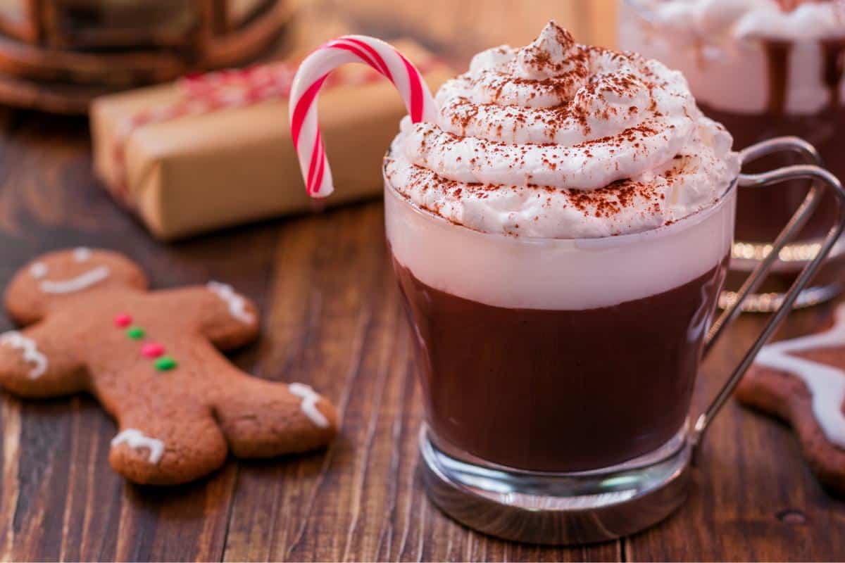 A glass mug of rich hot chocolate topped with whipped cream and cocoa powder, garnished with a candy cane. A gingerbread cookie rests on the wooden table beside it, completing this cozy holiday treat.