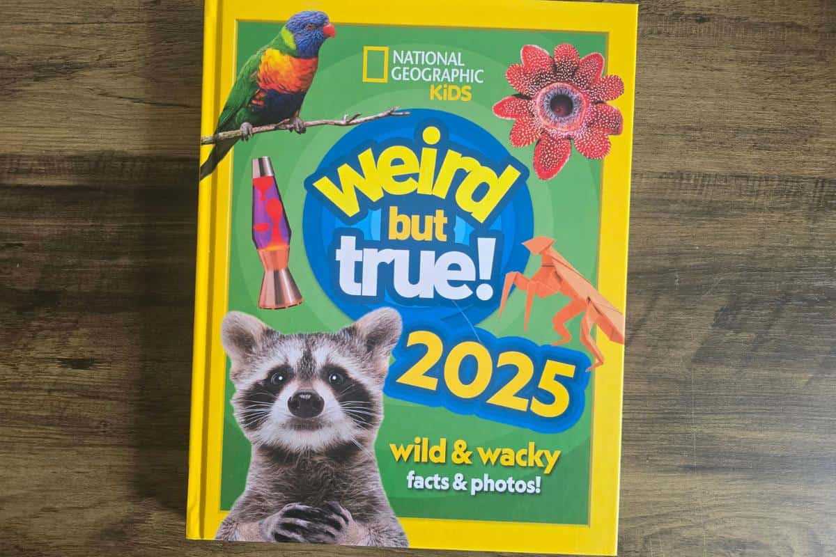 The cover of "Weird but True! 2025" by National Geographic Kids, a delightful book for children, showcases a raccoon, bird, flower, lava lamp, and origami dinosaur against a vibrant green background.