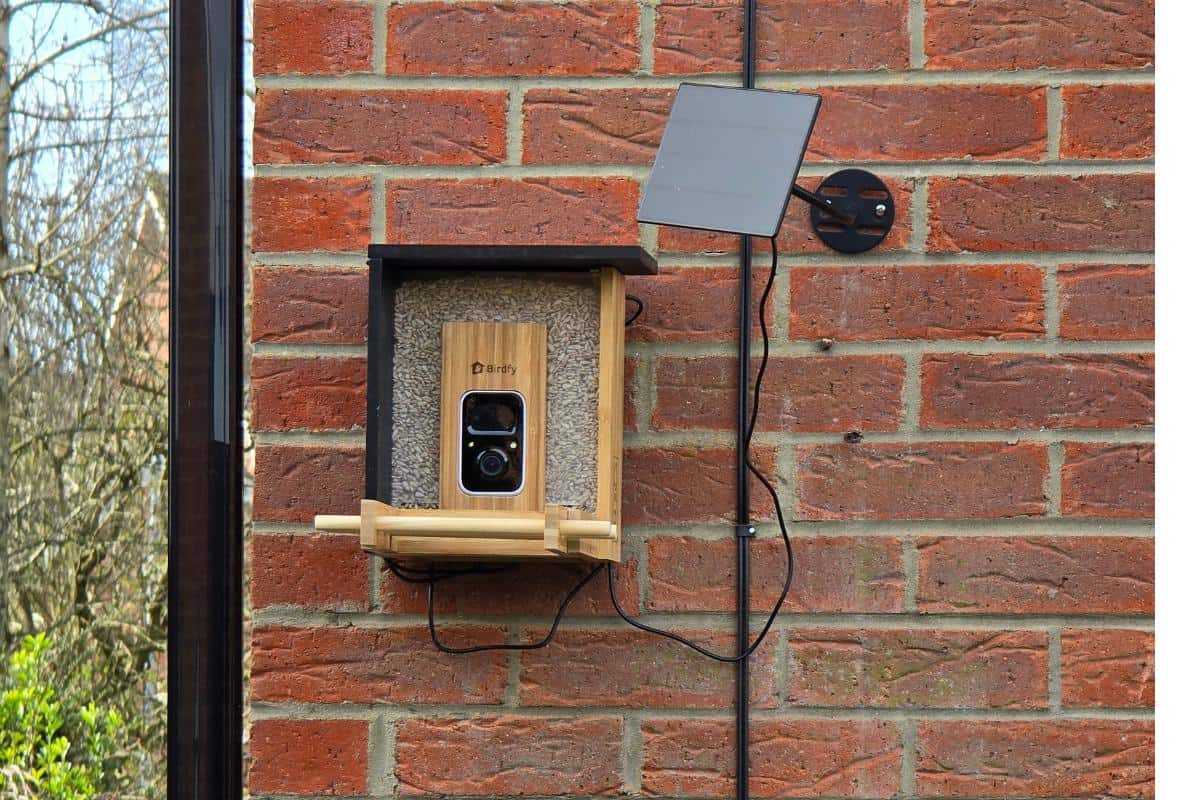 A wooden camera bird feeder with a solar panel is mounted on a red brick wall beside a window. Wires connect the Birdfy Feeder to the panel, while trees in the background create an inviting scene for your next bird feeder review.