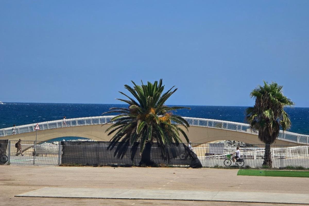 A curved pedestrian bridge spans in front of a blue sea under a clear sky, with two palm trees in the foreground. Perfect for families exploring Barcelona in a day, one person crosses the bridge as another rides a scooter below.