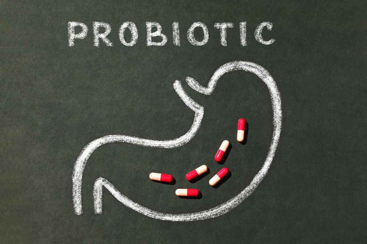 A chalk drawing of a stomach on a blackboard with the word "PROBIOTIC" above it; several red and beige capsules, suggesting probiotics for weight loss, are placed inside the outline of the stomach.