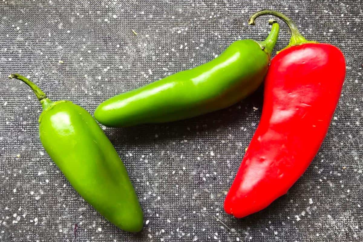 Three chili peppers—two green and one red—are placed on a dark, speckled surface, their glossy, elongated shapes reminiscent of fresh ingredients used in a classic chicken bhuna recipe.