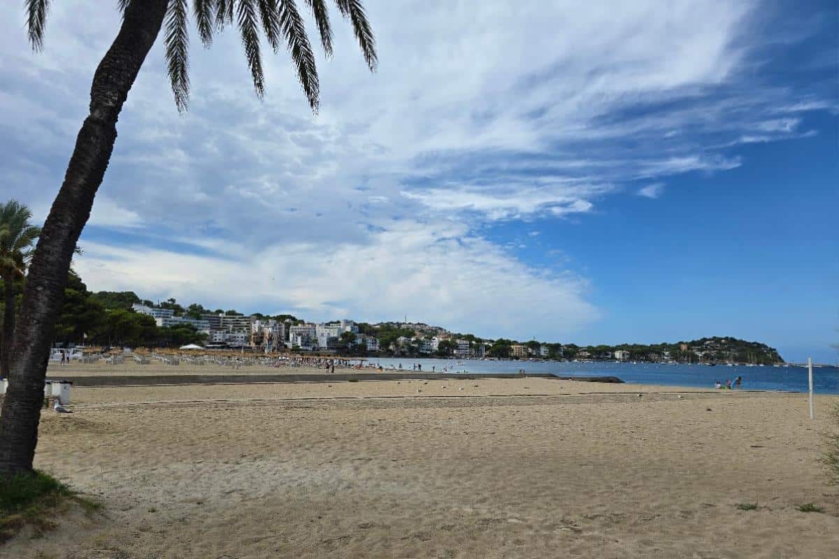 A sandy beach with a few people walking, a palm tree in the foreground, and the coastal town of Santa Ponsa with buildings and trees in the background under a partly cloudy blue sky.
