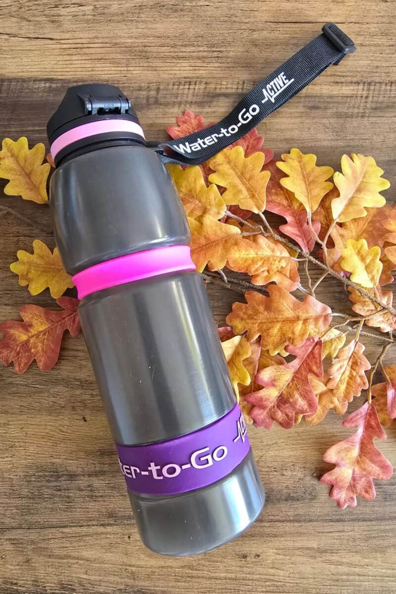 A grey Water-to-Go bottle with pink and purple bands lies on a wooden surface, decorated with artificial autumn leaves in shades of yellow, orange, and brown—a stylish reminder to stay hydrated throughout the season.