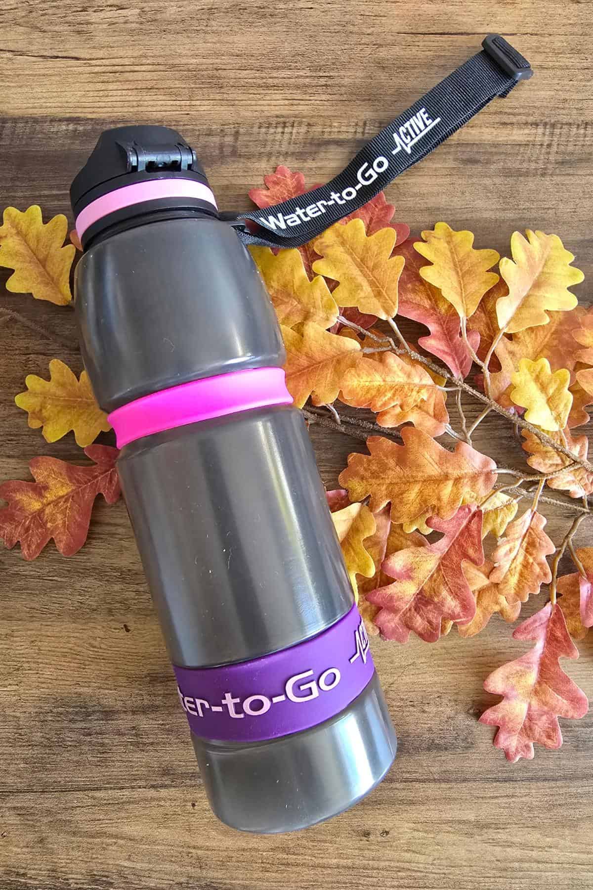 A grey Water-to-Go bottle with pink and purple bands lies on a wooden surface, decorated with artificial autumn leaves in shades of yellow, orange, and brown—a stylish reminder to stay hydrated throughout the season.