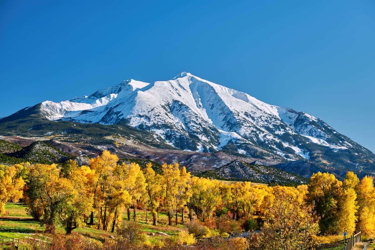 A snow-capped mountain rises behind a forest of bright yellow autumn leaves under a clear blue sky in Colorado. Green grass and scattered shrubs cover the foreground, setting the scene for your next outdoor adventure.