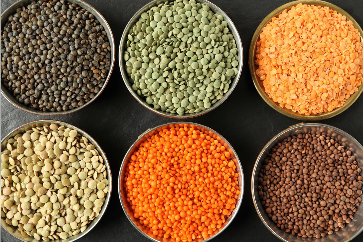 Six bowls filled with different types of lentils—black, green, red, yellow, orange, and brown—arranged in two rows on a dark surface, showcasing the variety and rich lentil nutrition available for those learning how to cook lentils.