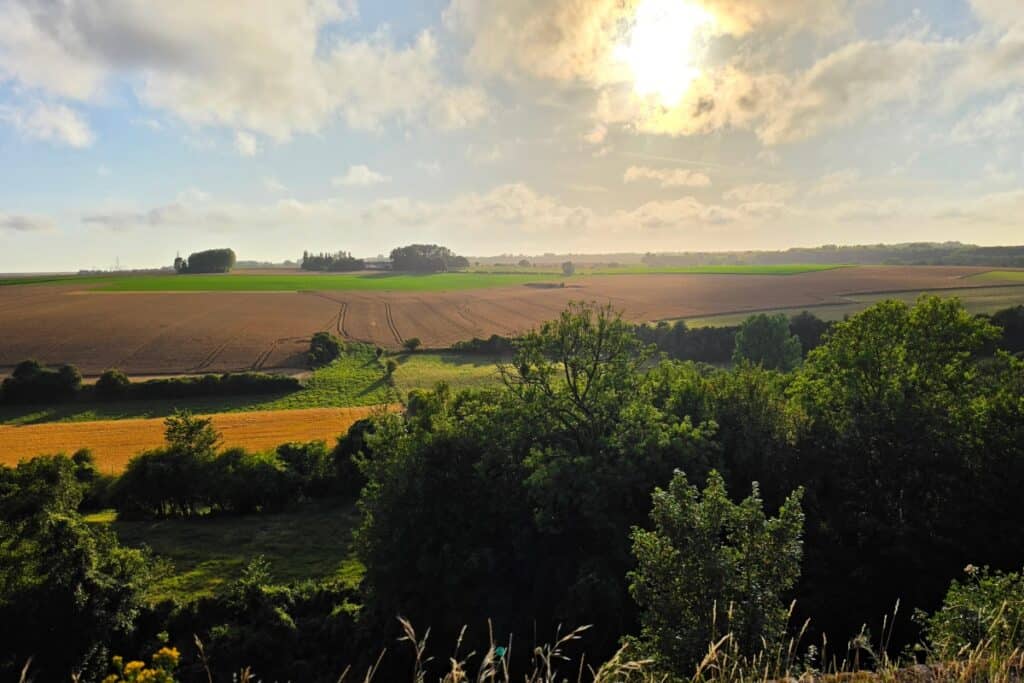 A scenic view of sunlit farmland near montreuil-sur-mer, with green trees in the foreground, brown and green fields, and a bright, partly cloudy sky overhead.
