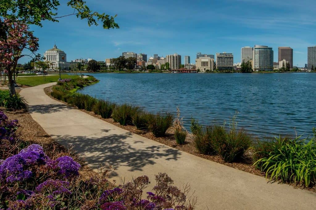 A paved lakeside path with purple flowers curves along the shore, with a city skyline and blue sky in the background.