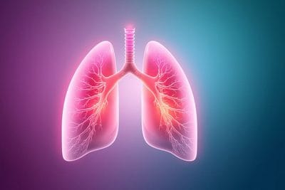 Anatomical illustration of human lungs and the bronchial tree.